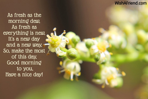 As fresh as the morning dew, As, Good Morning Message