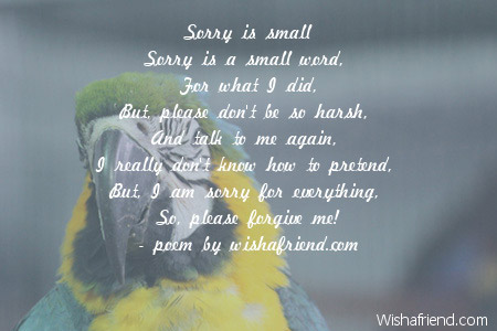 Sorry Poems
