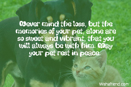 Sympathy Messages For Loss Of Pet